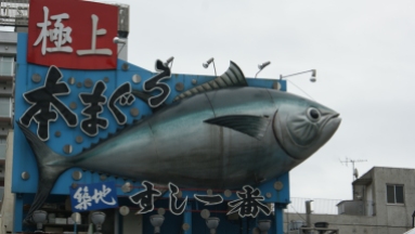 tokyo-tsukiji-fishmarket-1